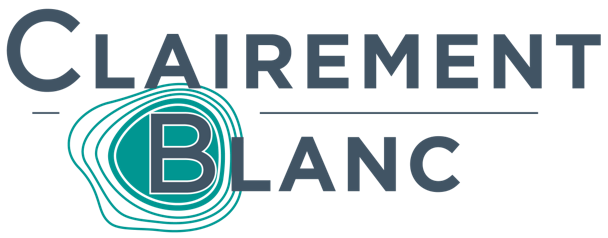 Logo clairement blanc rochemazet